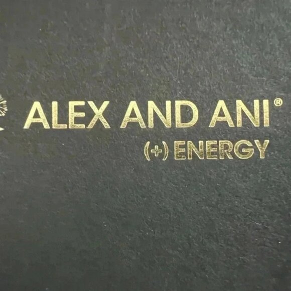 Alex and Ani | Lighthouse, Expandable Rafaelian Bangle Bracelet. - Picture 11 of 13